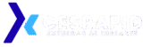 cropped cropped ce logo bk 2.png